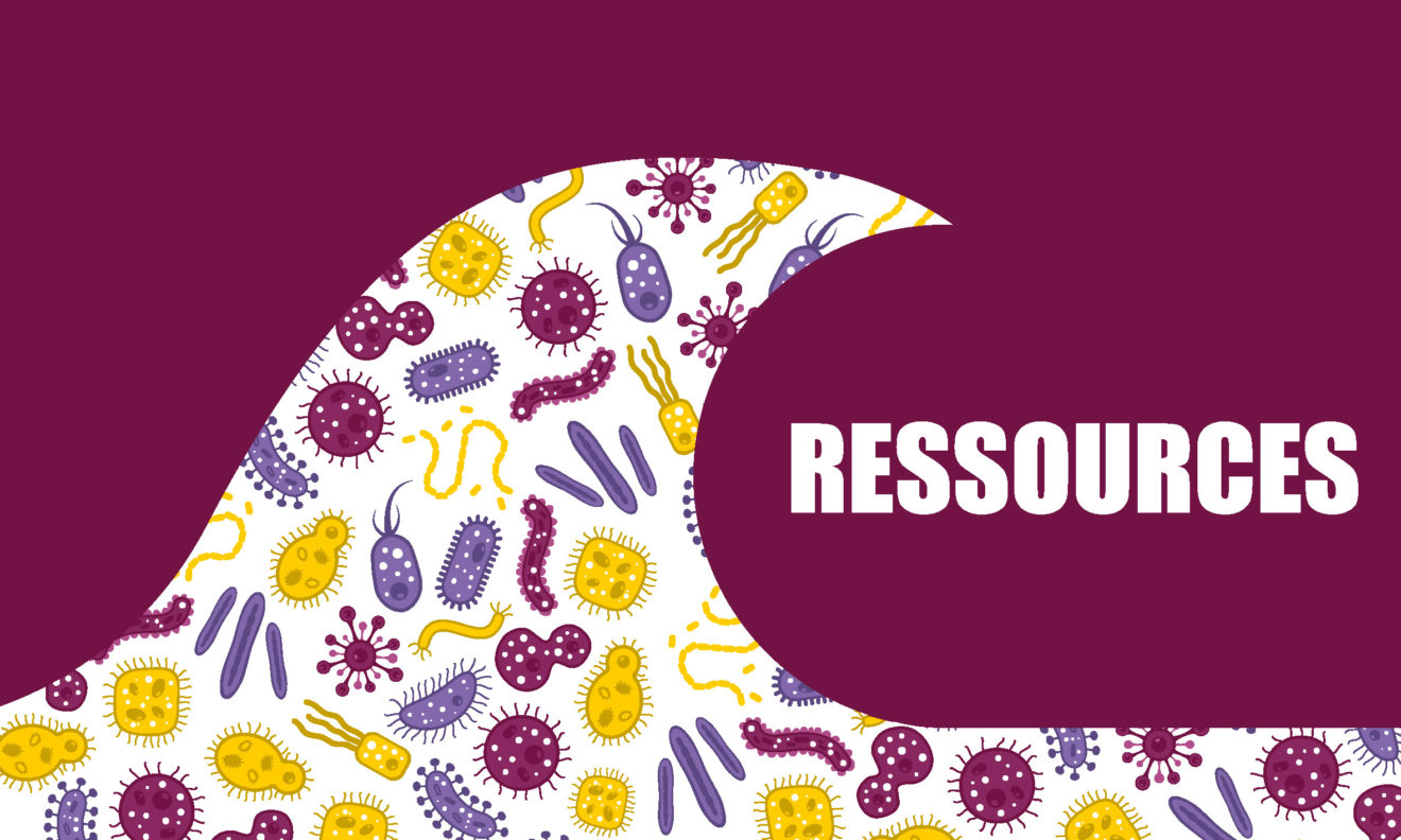 RESSOURCES_Bandeau-WEB-Coronavirus-MSH