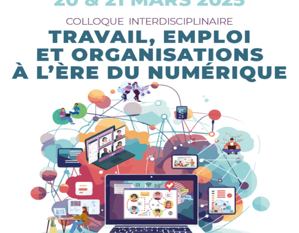 Travail, emploi et organisations à l&rsquo;ère du numérique