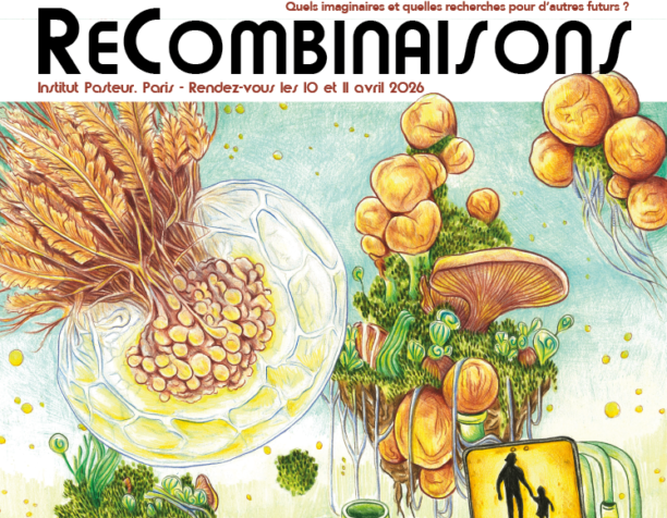 ReCombinaisons ReCombinaisons