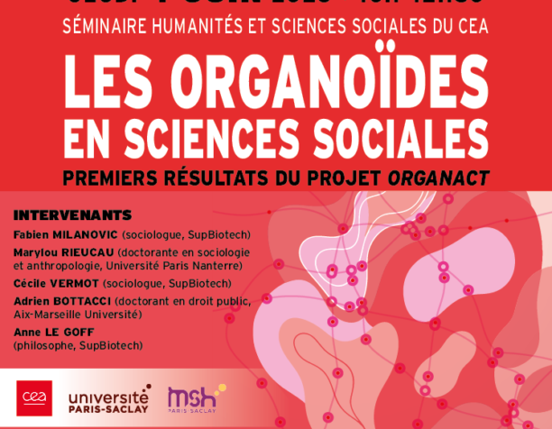Les organoïdes en sciences sociales : premiers résultats du projet Organact