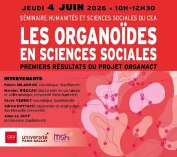 Les organoïdes en sciences sociales : premiers résultats du projet Organact