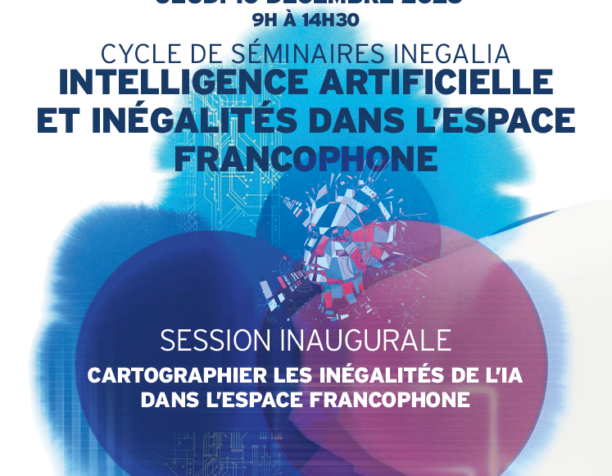 Cartographier les inégalités de l’IA dans l’espace francophone Cartographier les inégalités de l’IA dans l’espace francophone